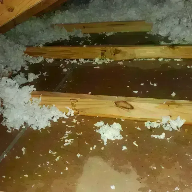 Attic Water Damage in Florin, CA