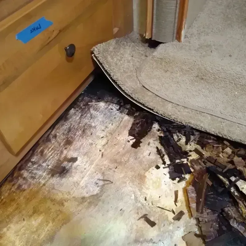 Best Wood Floor Water Damage Service in Florin, CA